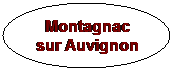 Ellipse: Montagnac sur Auvignon

